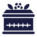 coffin