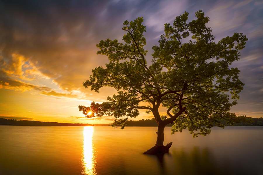 tree-water-lake-landscape-sunset tree-water-lake-landscape-sunset