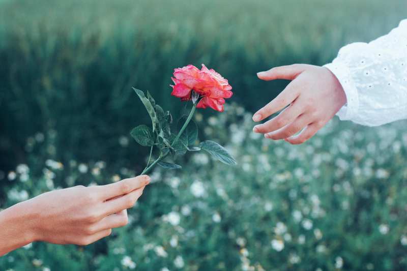 hand giving flower