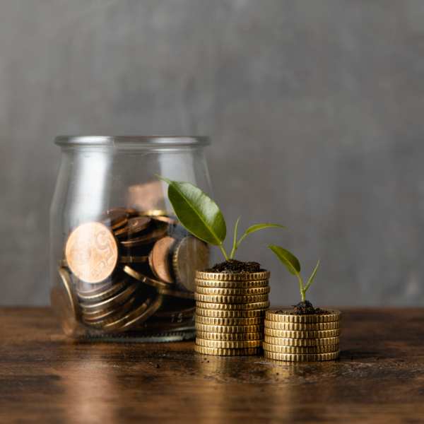 two stacks of coins with plants and jar