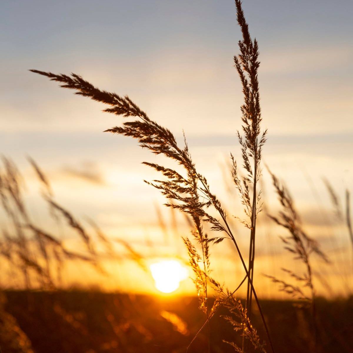 Inspiring view of morning light
